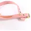 Поводок Lockink Sevanda Love Heart Butterfly LeaTher Collar Set - Pink - миниатюра 3