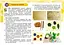 Я досліджую світ 4 клас. Технологічна освітня галузь. Альбом - мініатюра 3