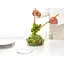Сушарка для зелені Brabantia Tasty+ 16x25x25 см (145407) - мініатюра 9