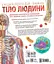 Енциклопедія знань. Тіло людини - Стів Хоффман - миниатюра 2