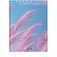 Щоденник датований Buromax Only 2026 поліграфічний A5 світло-рожевий (BM.2183-43) - мініатюра 1