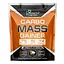 Гейнер Powerful Progress Carbo Mass Gainer 2000 г (1086-100-81-4995962-20) - миниатюра 1