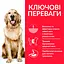Сухий корм Hill's SP Can Adult Perfect Weigt Large Breed C 12 кг для дорослого собаки з пiдтримкою - мініатюра 2