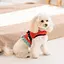 Шлея Monika ТМ Pet Fashion для собак XS червона - мініатюра 4