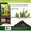 Торфосмесь COMPO CACTEA® для кактусов 5 л - миниатюра 6