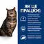Сухий корм Hill's Prescription Diet k/d Early Stage для котів для підтримання функції нирок на ранній стадії з - мініатюра 4