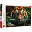 Пазл Trefl Дикий тигр 1000 ел. (10798) - мініатюра 1
