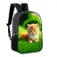 Рюкзак дитячий з котом 34х27 см, ранець міський з котиком для хлопчика, дівчинки (00482) - мініатюра 1