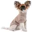 Свитер для собак Pet Fashion Sam ХS бежевый (PR442485) - миниатюра 4