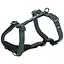 Шлея Trixie CityStyle H-harness для собак бавовна L-XL 75-120 см 25 мм чорний - мініатюра 1