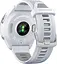 Смарт-годинник Garmin Forerunner 965 Titanium Bezel w. Whiteston Case and Whiteston/Powder Gray S. Band (010-02809-01) - мініатюра 3