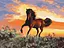 Картина по номерам на подрамнике Brushme Лошадь - миниатюра 1
