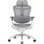 Крісло офісне Sihoo Doro C300 Pro Mesh White (DORO-C300-PRO-M102) - мініатюра 1