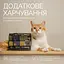 Лакомства хрустящие Savory Cats Snacks Pillows Gourmand with Chicken and Cheese Для взрослых прихотливых котов подушечки с курицей и сыром 180 г - миниатюра 3