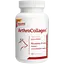 Витаминно-минеральная добавка Dolfos ArthroCollagen для защиты суставного хряща собак 90 таблеток (5910-90) - миниатюра 1