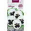 Насіння Фіалка Насіння України Наречена 0.05 г (750800) - мініатюра 1