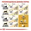Сухий корм для британських короткошерстих дорослих котів Royal Canin British Shorthair Adult з м'ясом птиці 3.2 кг + 800 г - мініатюра 7