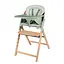 Багатофункціональний стільчик Lionelo Megan Green Wood (LO-MEGAN GREEN WOOD) - мініатюра 1