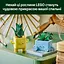 Конструктор LEGO Botanicals Веселые растения 217 деталей (10349) - миниатюра 16