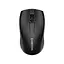 Мышь Canyon MW-7 Wireless Black (CNE-CMSW07B) - миниатюра 1