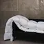 Одеяло пуховое MirSon Raffaello 051, king size, 240x220, белое (2200005895030) - миниатюра 15