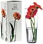 Ваза для цветов Pasabahce Flora 26 см (43177) - миниатюра 2