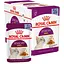 Влажный корм для взрослых кошек Royal Canin Sensory Smell Jellyкусочки в желе 1.02 кг (12 шт. х 85 г) - миниатюра 1