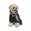 Комбінезон Pet Fashion Indigo для собак, XS чорний - мініатюра 3