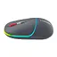 Мышка Canyon MW-22 Dual Band RGB Wireless Dark Grey (CNS-CMSW22DG) - миниатюра 4
