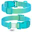 Collar WAUDOG Nylon Recycled - Нашийник нейлоновий градієнт з QR паспортом та пластиковим фастексом для собак - L (2,5х33-49 см) - мініатюра 1