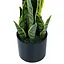 Искусственное растение Engard Sansevieria 57 см (TW-43) - миниатюра 5