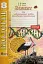 Біологія. 8 клас. Зошит для лабораторних робіт, досліджень, практикуму - мініатюра 1