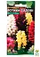 Антирринум "Ротики Садові" Весна 0.2г (16316) - мініатюра 2