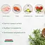 Сухой корм для котят Morando Tradizioni Kitten с курицей и лососем 400 г - миниатюра 3
