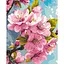 Картина по номерам "Цвет сакуры" Art Craft 13099-AC 40х50 см - миниатюра 1
