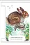 Малятам про звіряток. У лісі - миниатюра 6