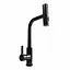Змішувач для кухні XK09B Platinum PVD чорний - мініатюра 2