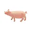 Игровая фигурка Bambi Домашние животные Свинья N588-2-12, 12.5 см - миниатюра 1