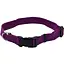 Нашийник для собак Coastal New Earth Soy Dog Collar s/m / 2 х 30-45 см соєвий еко - мініатюра 1