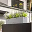 Вазон Lechuza Balconera Stone 100 пісочно-бежевий (15437) - мініатюра 3