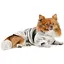 Куртка для собак Pet Fashion Bony ХS2 бело-зеленая - миниатюра 4