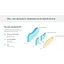 WI-FI роутер маршрутизатор TP-Link C-24 Archer AC750, 2.4 ГГц 5 ГГц Wi-Fi 5, 433 Мбіт/с - мініатюра 5