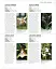 Grow Orchids. Essential Know-how and Expert Advice for Gardening Success - миниатюра 9