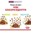Влажный корм для взрослых кошек Royal Canin Sensory Smell Gravy кусочки в соусе 1.02 кг (12 шт. х 85 г) - миниатюра 5