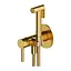 Набір гігієнічного душу прихованого монтажу Omnires Y brushed gold SYSYBI2GLB, Золотий - мініатюра 1