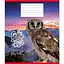 Зошит учнівський "Тварини" 018-530247K-3 в клітинку, 18 аркушів - мініатюра 1