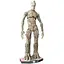 Фігурка Грут Groot Guardians of the Galaxy Стражі Галактики 40 см GG 10.050 - мініатюра 1