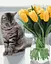 Картина по номерам на подрамнике Brushme Котик с тюльпанами - миниатюра 1