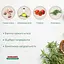 Сухой корм для собак малых пород Morando Tradizioni Mini с курицей и овсом 1.5 кг - миниатюра 2