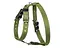 Шлея для собак Collar для великих собак N3 72-94 см зелена (0647) - мініатюра 1